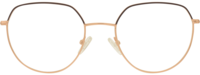 Direkt Optik 21