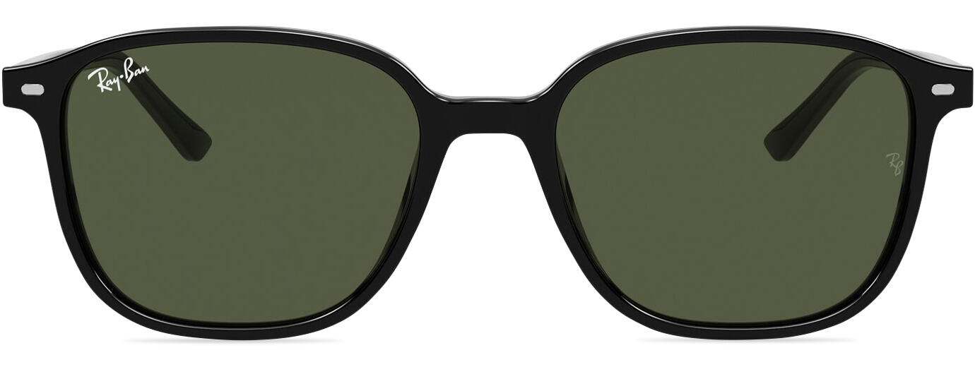 Ray-Ban Leonard 2193 31