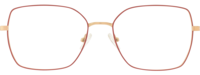 Direkt Optik 21
