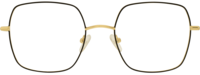Direkt Optik 21