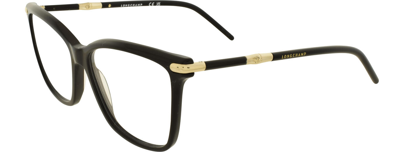 Longchamp 01