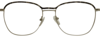 Direkt Optik 21