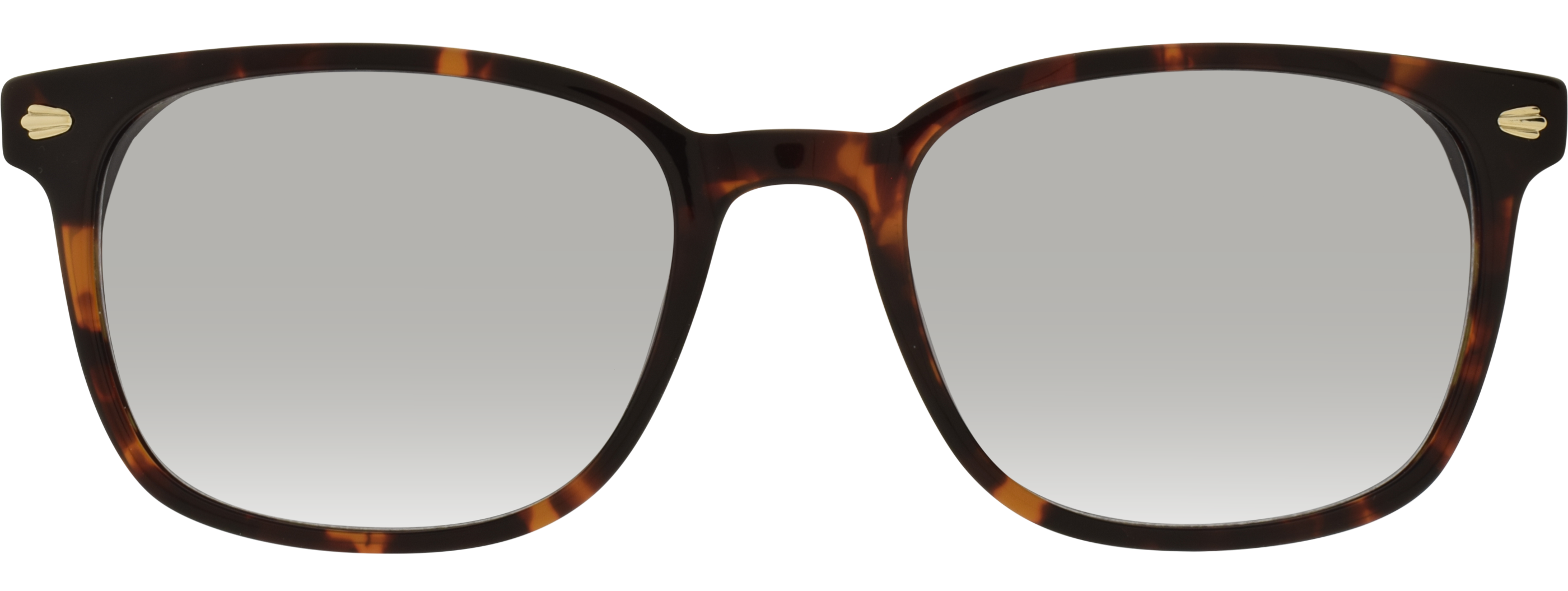 Direkt Optik 21