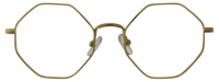 Direkt Optik 21