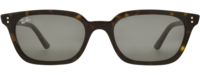 Ray-Ban 4456 21