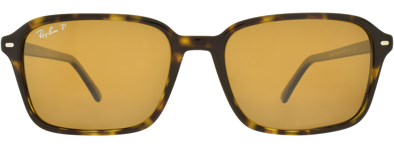 RAY-BAN 0RB2231 51