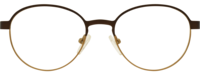 Direkt Optik 21