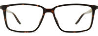 CALVIN KLEIN CK24547 11