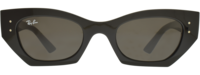 Ray-Ban 4430 21