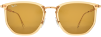 Ray-Ban 4451 21