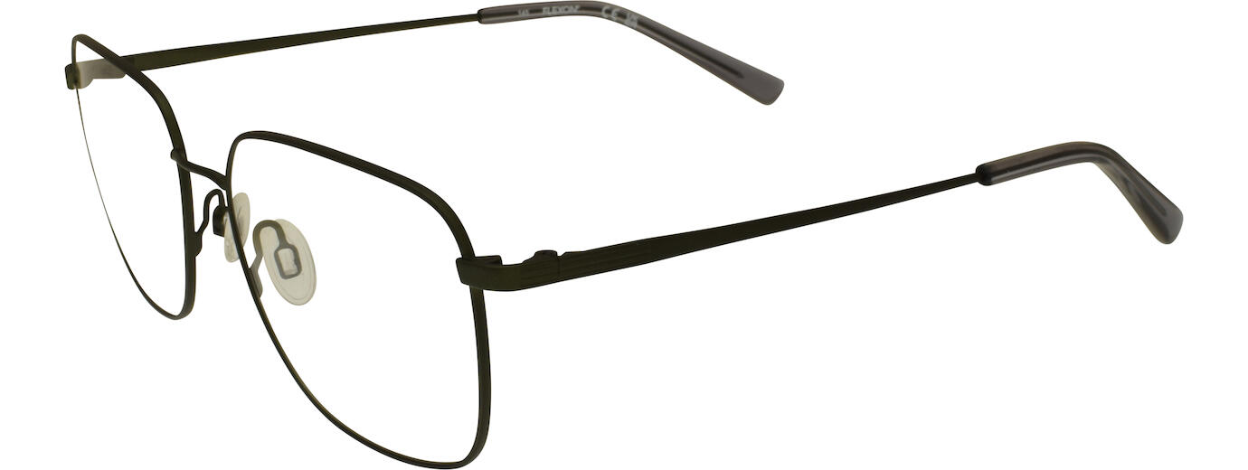 Flexon H6070 01