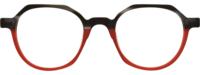 Direkt Optik 21