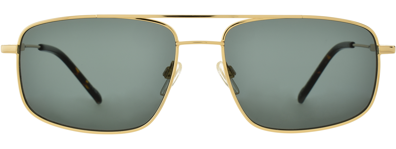 Pierre Cardin 6910 21