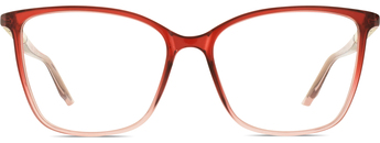 Calvin Klein CK24545