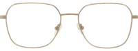 Dysygn 21