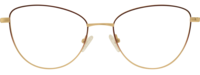 Direkt Optik 21