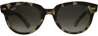 Ray-Ban 0RB2199 11