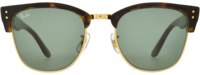 Ray-Ban 0504 21