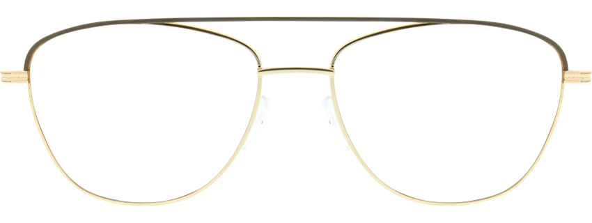 Direkt Optik 21