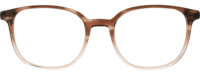 Direkt Optik 21