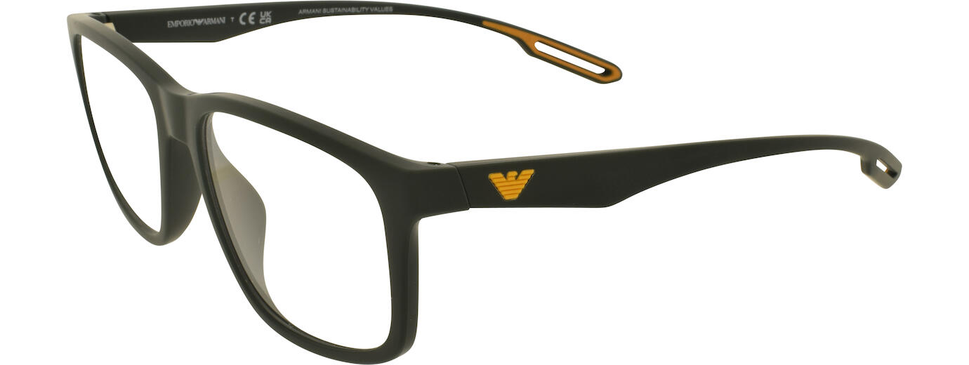 Emporio Armani 3209U 31