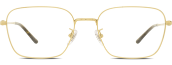 Ray-Ban 0RX8784D