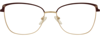 Direkt Optik 21