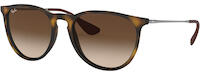 Ray-Ban Erika 4171 01