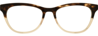 Direkt Optik 21