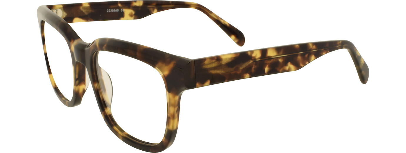 Direkt Optik 21