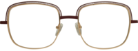 Direkt Optik 21