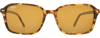 RAY-BAN 0RB2231