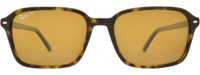 RAY-BAN 0RB2231 51