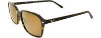 RAY-BAN 0RB2231 31