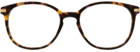 Direkt Optik 21