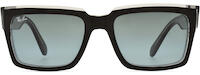 Ray-Ban 2191 11