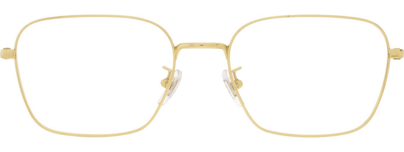 Ray-Ban 0RX8784D 21