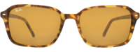 RAY-BAN 0RB2231 21