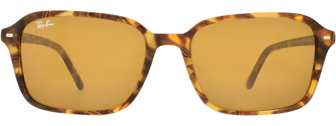 RAY-BAN 0RB2231 21