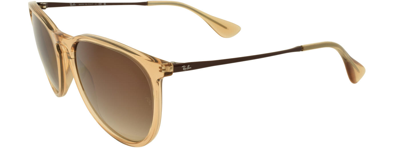 Ray-Ban 4171 31