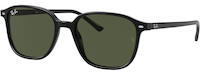 Ray-Ban Leonard 2193 21