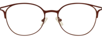 Direkt Optik 21