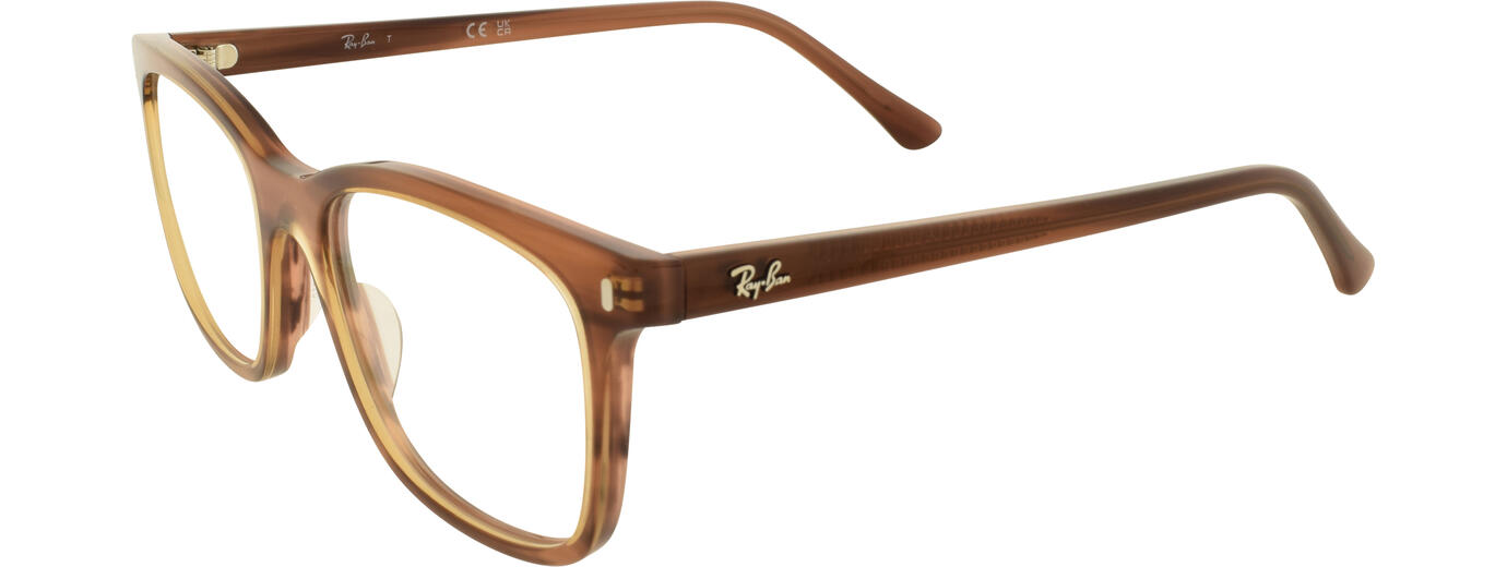 Ray-Ban 31