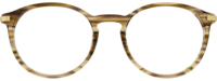 Direkt Optik 21