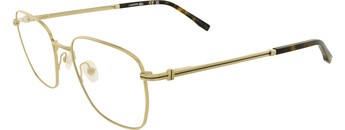 Lacoste 2311