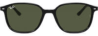 Ray-Ban Leonard 2193 31