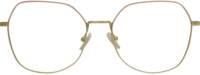 Direkt Optik 21