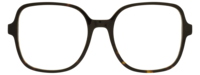Direkt Optik 21