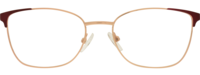 Direkt Optik 21