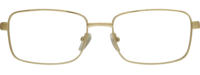 Direkt Optik 21